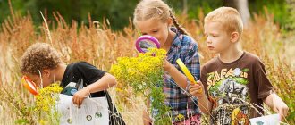 Дети изучают растения летом
