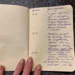 child observation diary