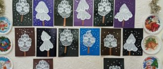 Summary of a lesson on tulle applique “Winter&#39;s Tale” in a preparatory school group