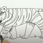 Нарисовать тигра поэтапно для детей