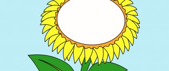 Sunflower drawing clipart